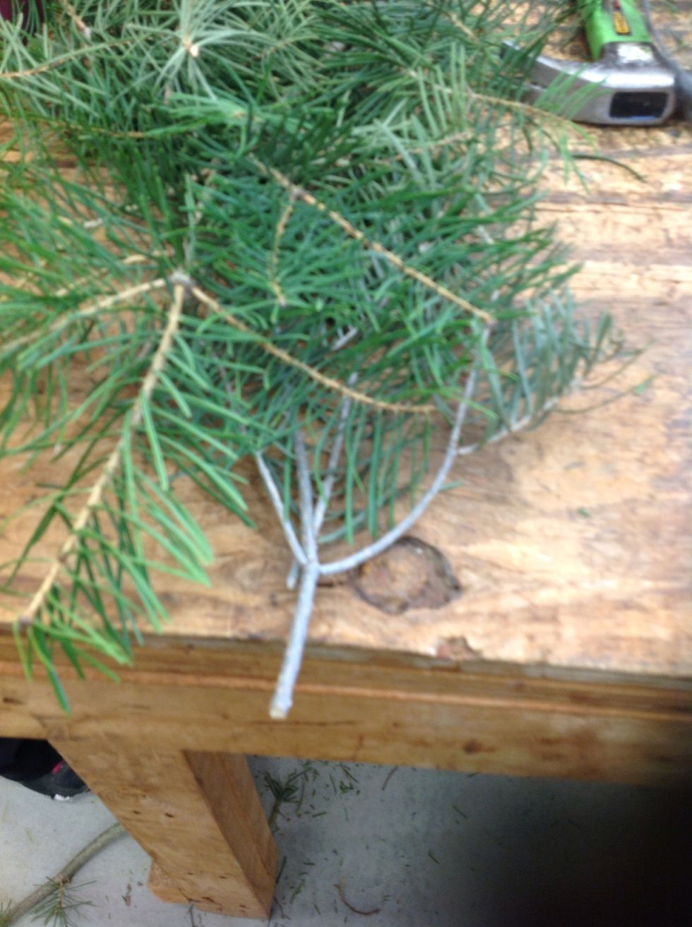 Clippings for the wreath.