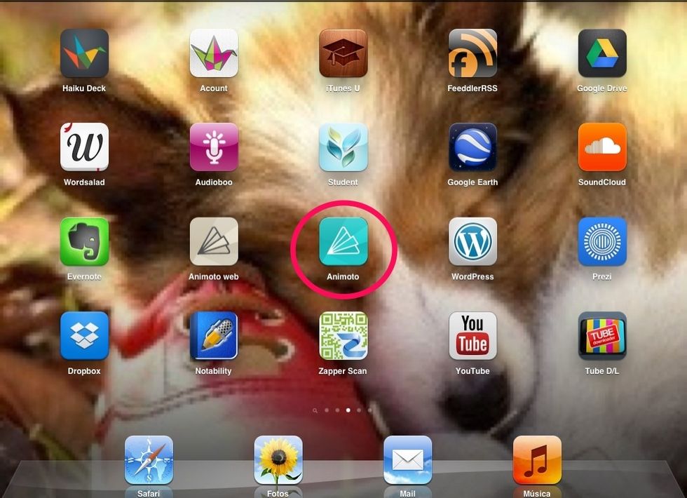 Cliqueu a la aplicaci\u00f3 ANIMOTO