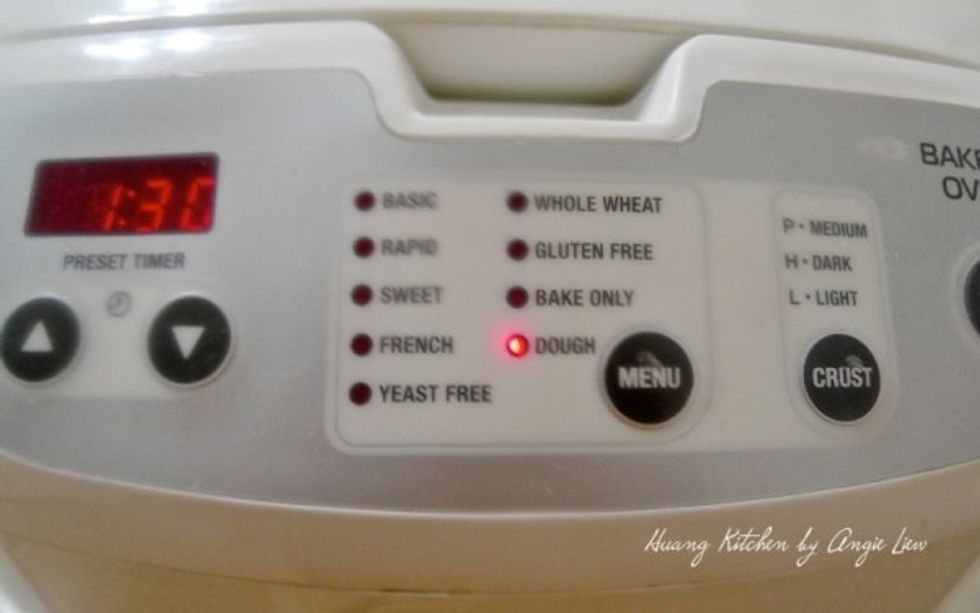Close the lid of the bread machine and select the dough cycle. Press START.