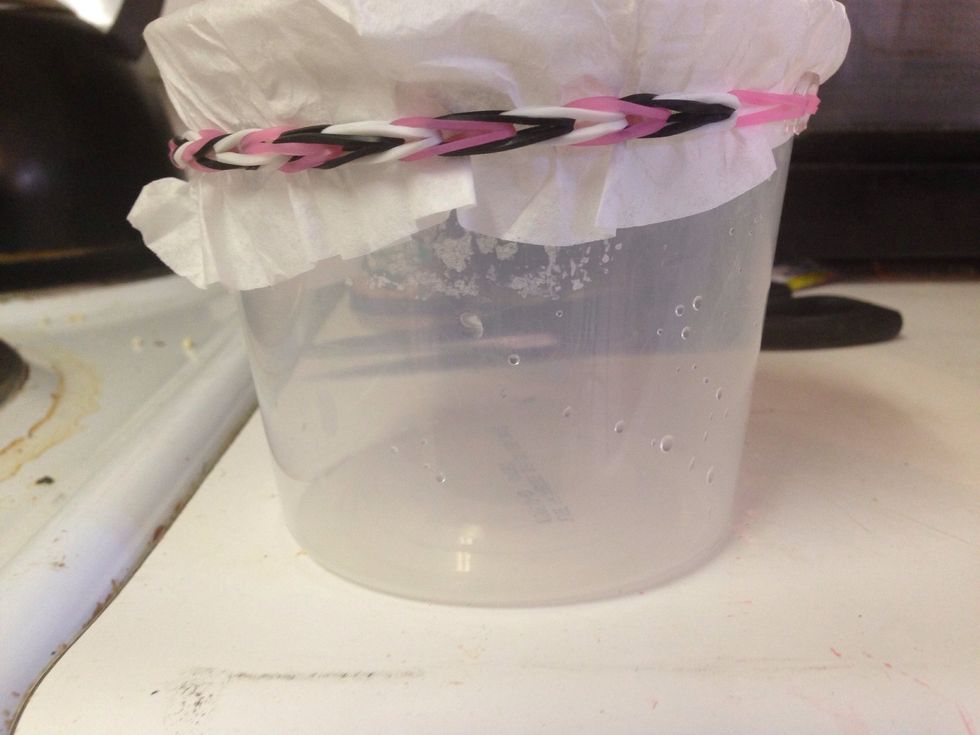 Close up of the elastic band (rainbow loom bracelet my daughter made)