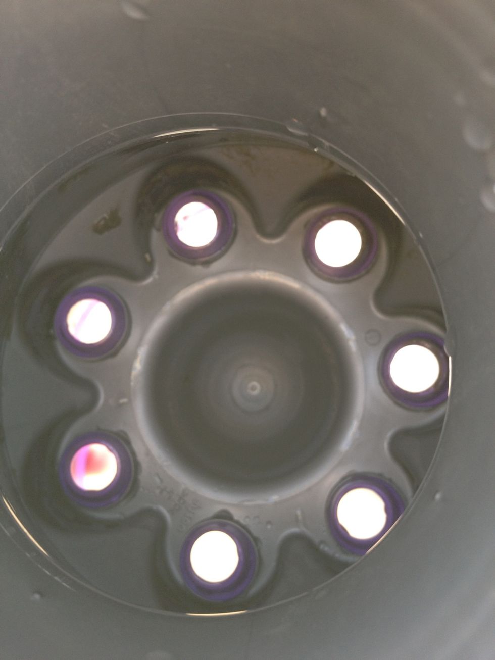 Closer look inside. Eww.