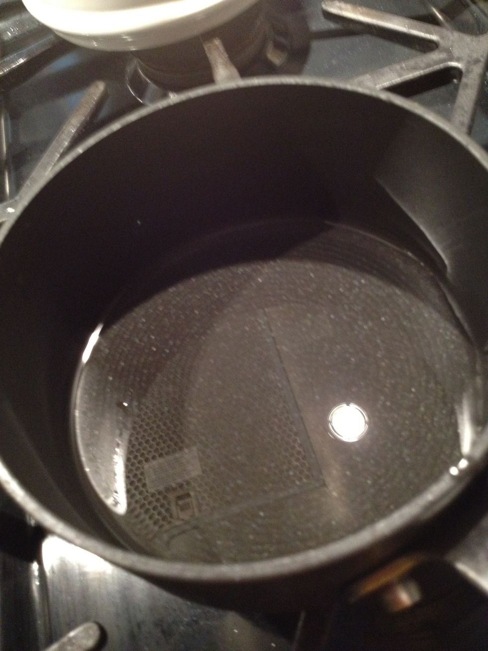 Coat bottom of pan with olive oil