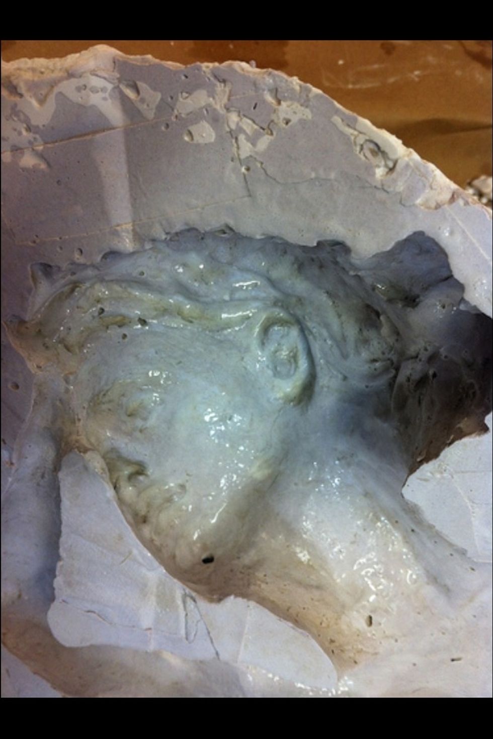 Coat the mold with water soap mixture and let dry.