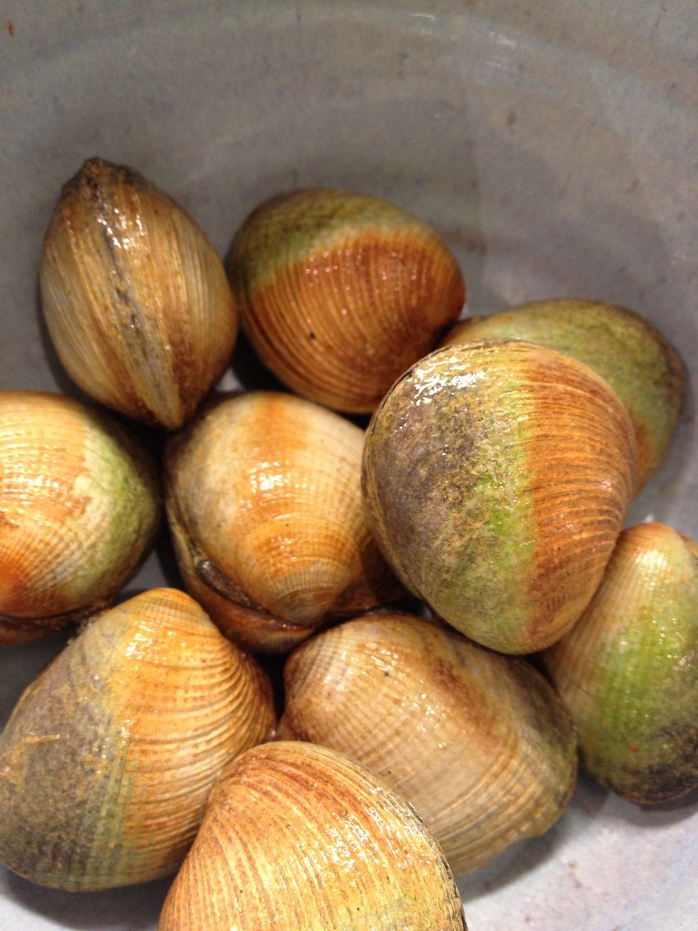 Cockles Clams... Fancy.