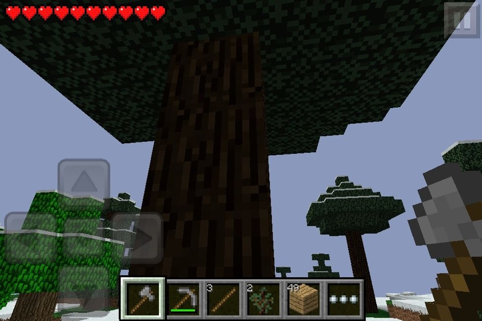 Collect 1 more tree (poor trees\ud83d\ude2d\ud83d\ude2d\ud83d\ude2d\ud83d\ude2d\ud83d\ude2d\ud83d\ude2d\ud83d\ude2d\ud83d\ude2d\ud83d\ude2d\ud83d\ude2d\ud83d\ude2d\ud83d\ude02\ud83d\ude22\ud83d\ude2a\ud83d\ude25\ud83d\ude30)