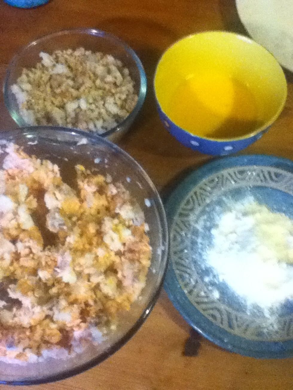 Collect flour crumbs egg and salmon together