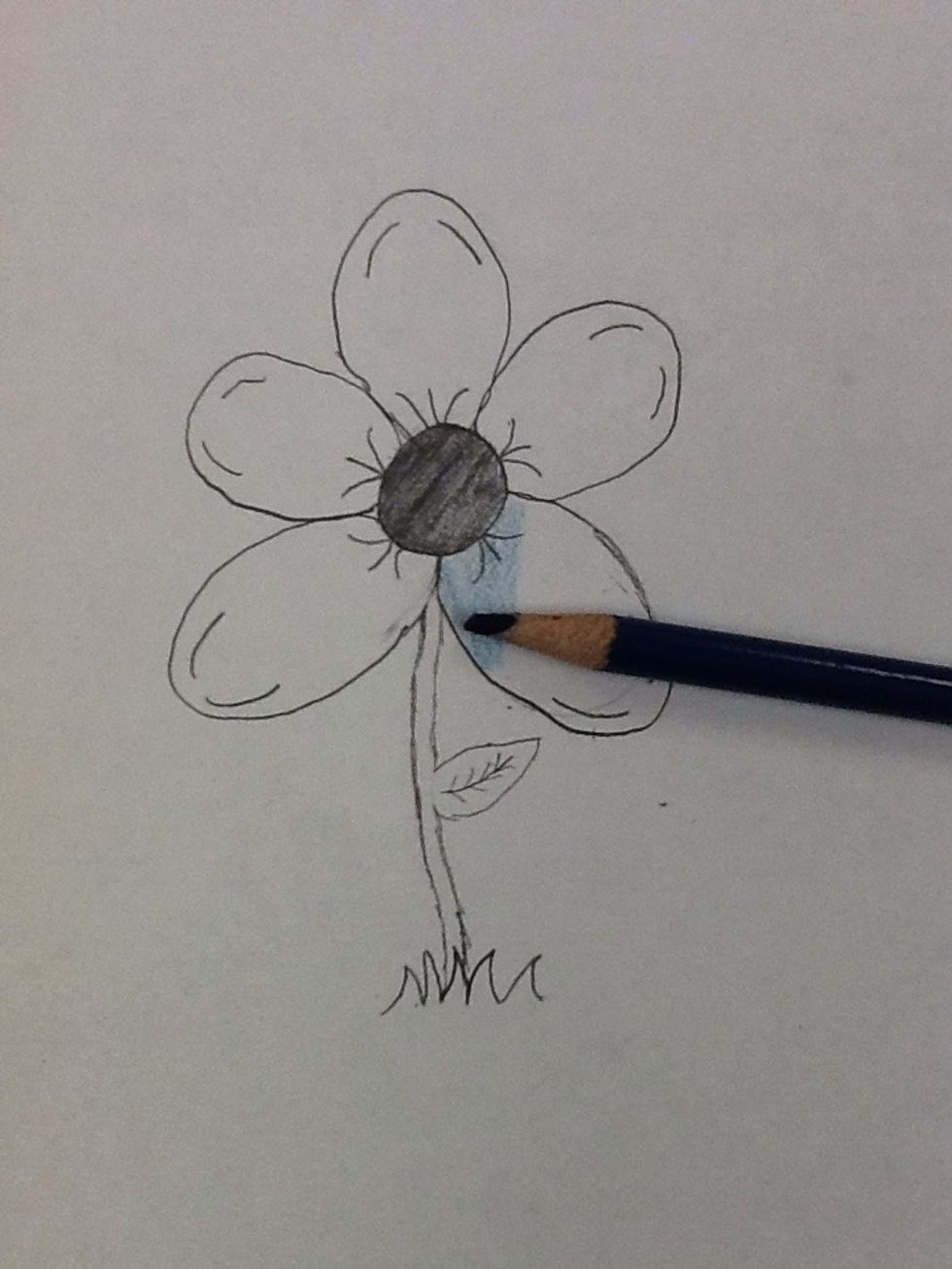 Color in all the petals blue.