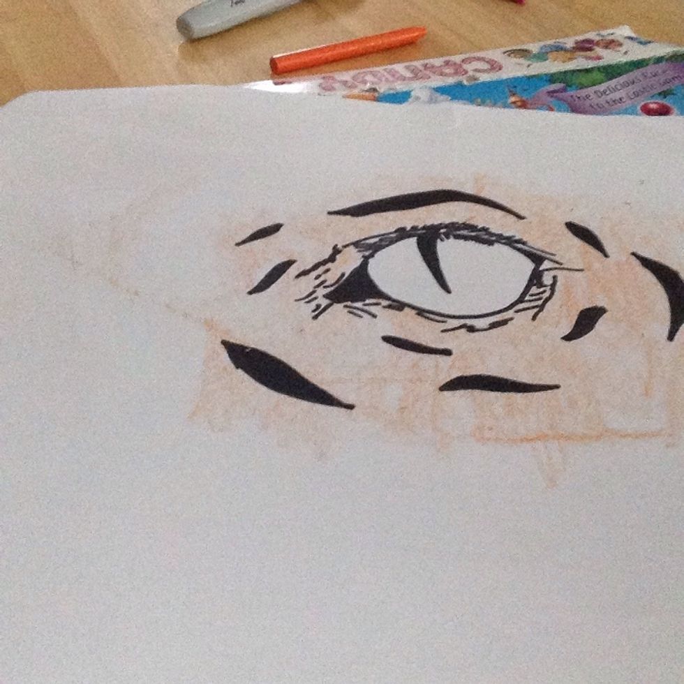 Color orange around the eye