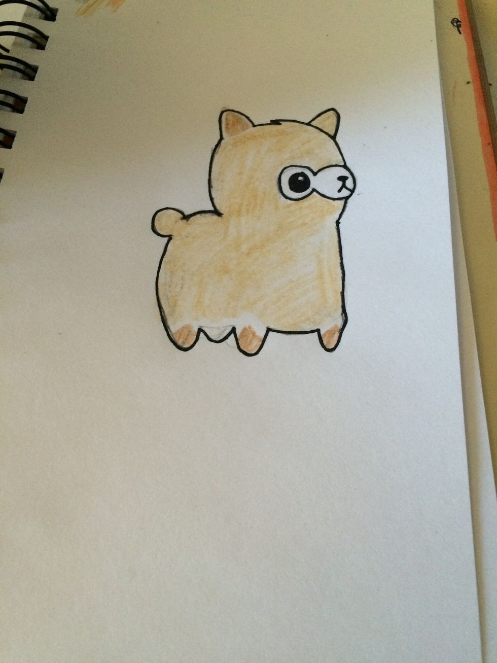 Color the details in with the dark brown