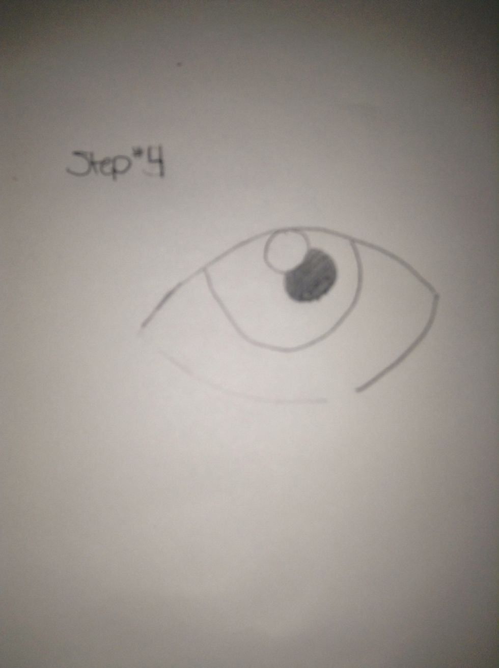 Colour in the bottom circle