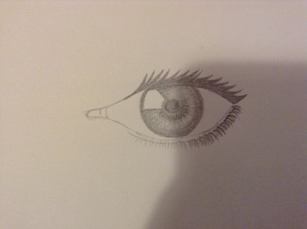 Colour in the eyelashes