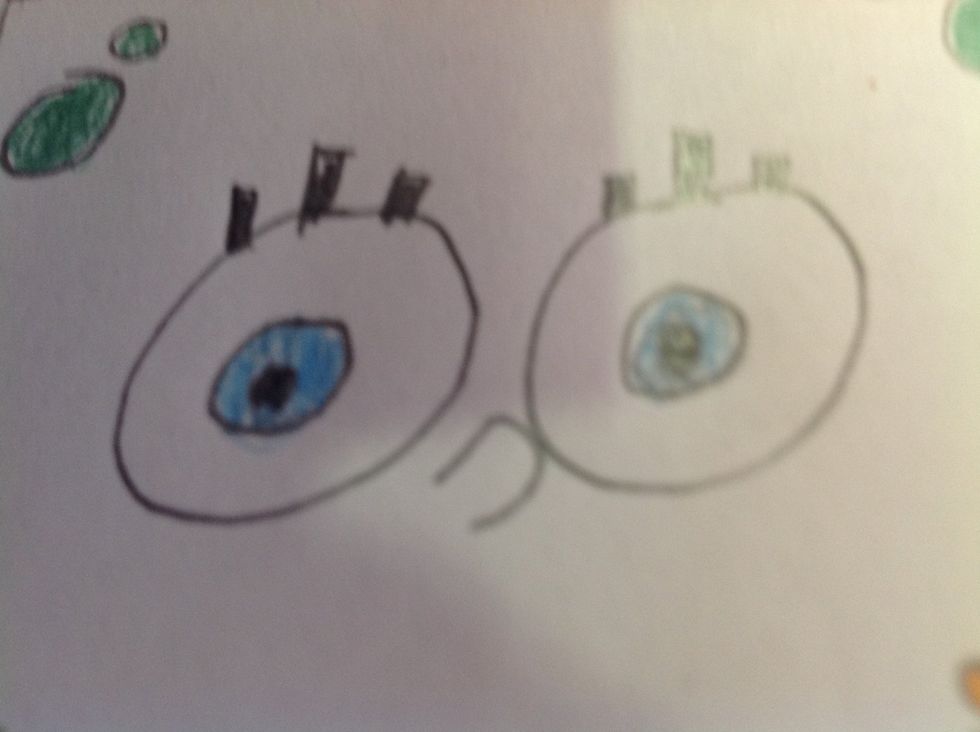 Colour in the eyes like this