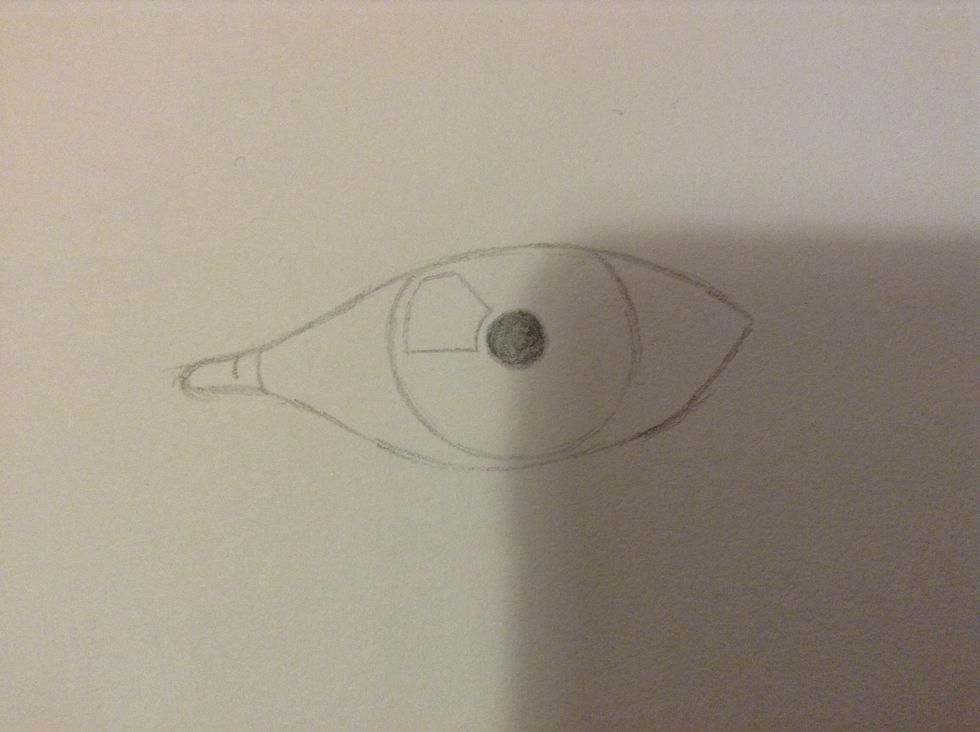 Colour in the pupil and draw the reflection