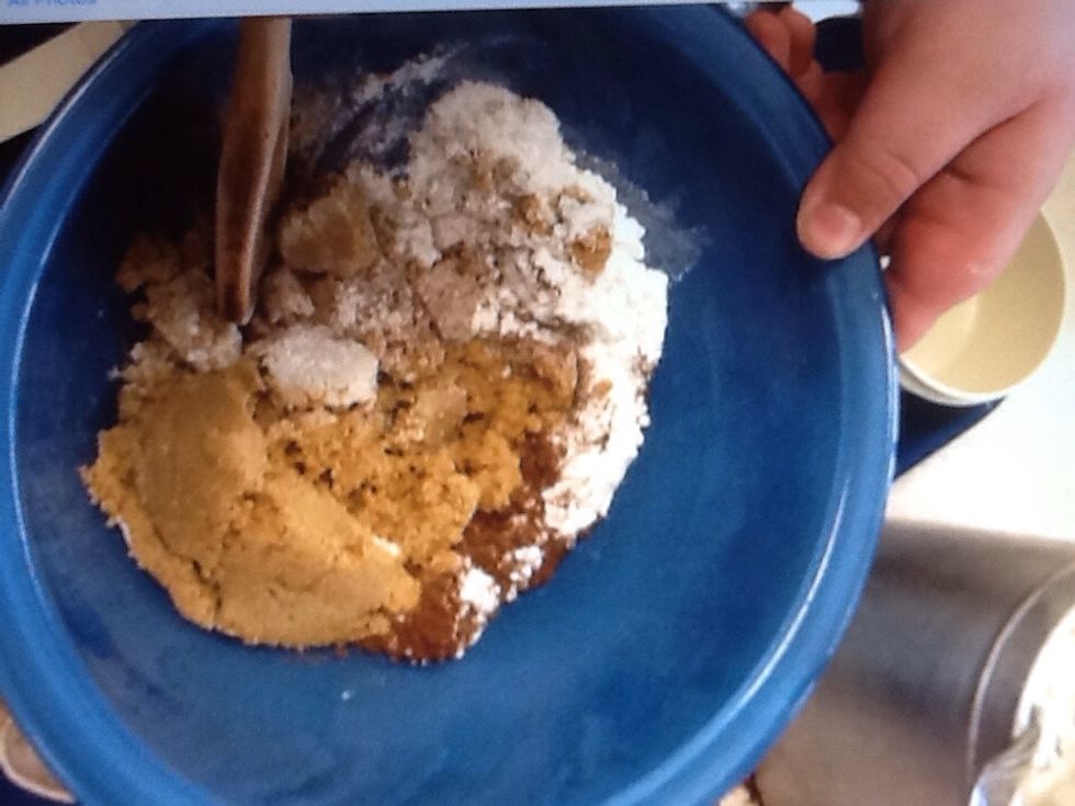 Combine brown sugar, flour, cinnamon and melted butter in a bowl.