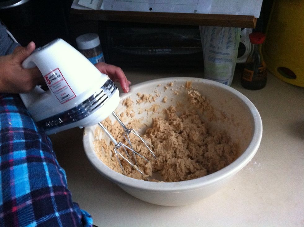 Combine flour,baking soda and salt. Add to creamed mixture at low speed.