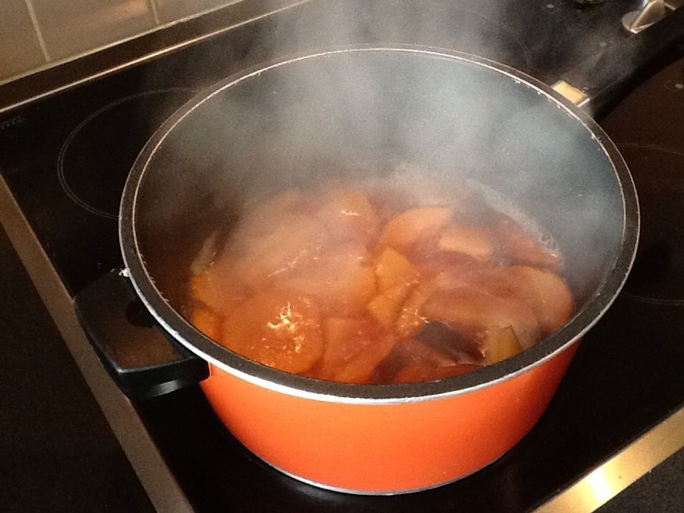 Combine the sliced plums and water and gently simmer for 1 hour