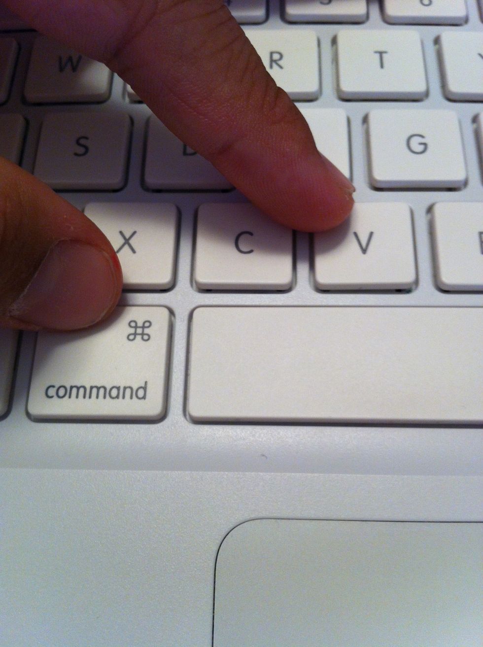 Command + V (paste)