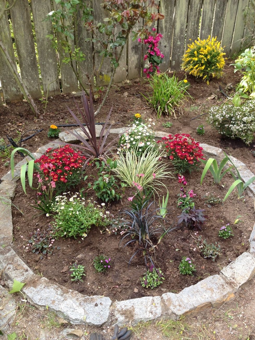 Complete planting of each plant. Water generously.