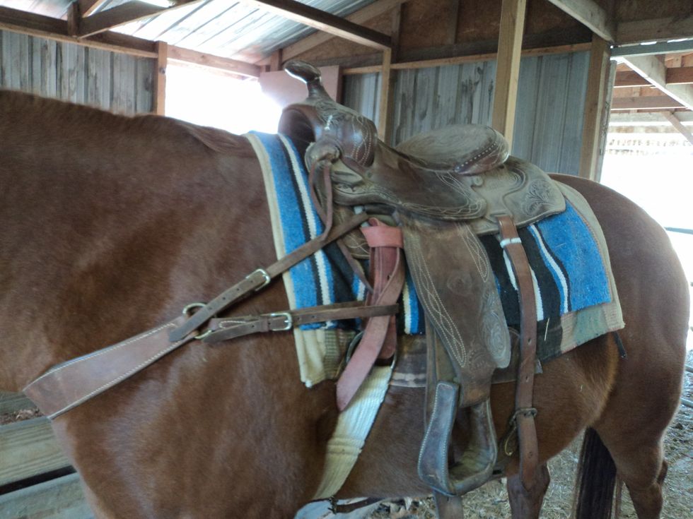 Completed saddle adjusting.
