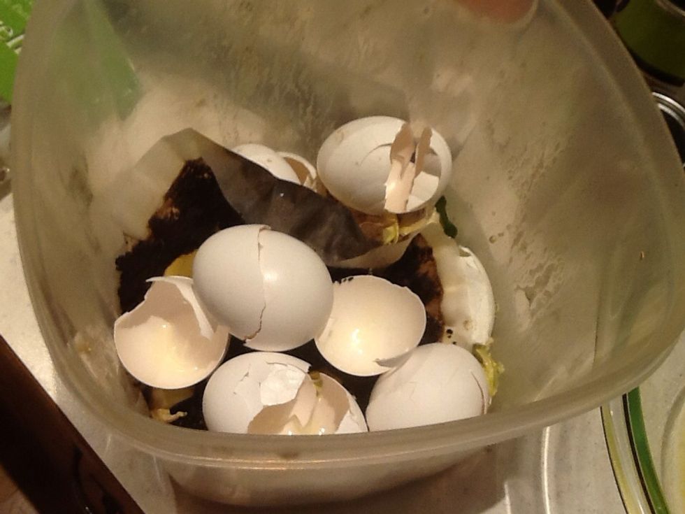 Compost your egg shells.