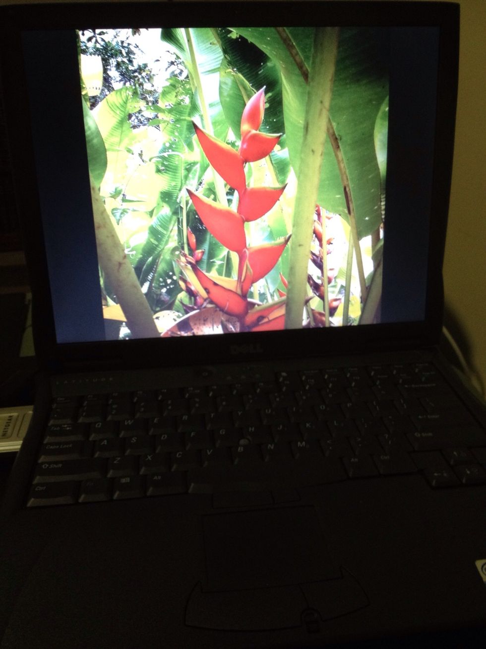 Configure Picasa screen saver to load photos from Dropbox photos folder and local Share folder you created. Configure Auto Shutdown Pro to shutdown at your desired time, I set mine to 10PM.