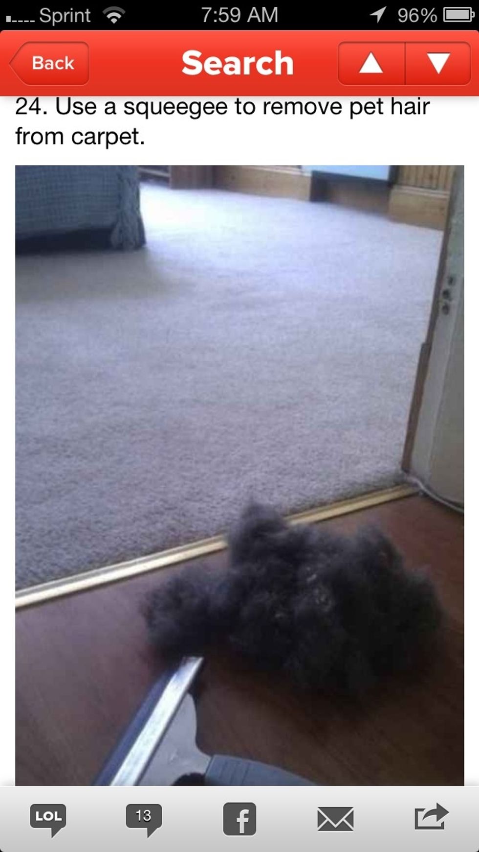 Congratulations! Your carpet is hair-free!