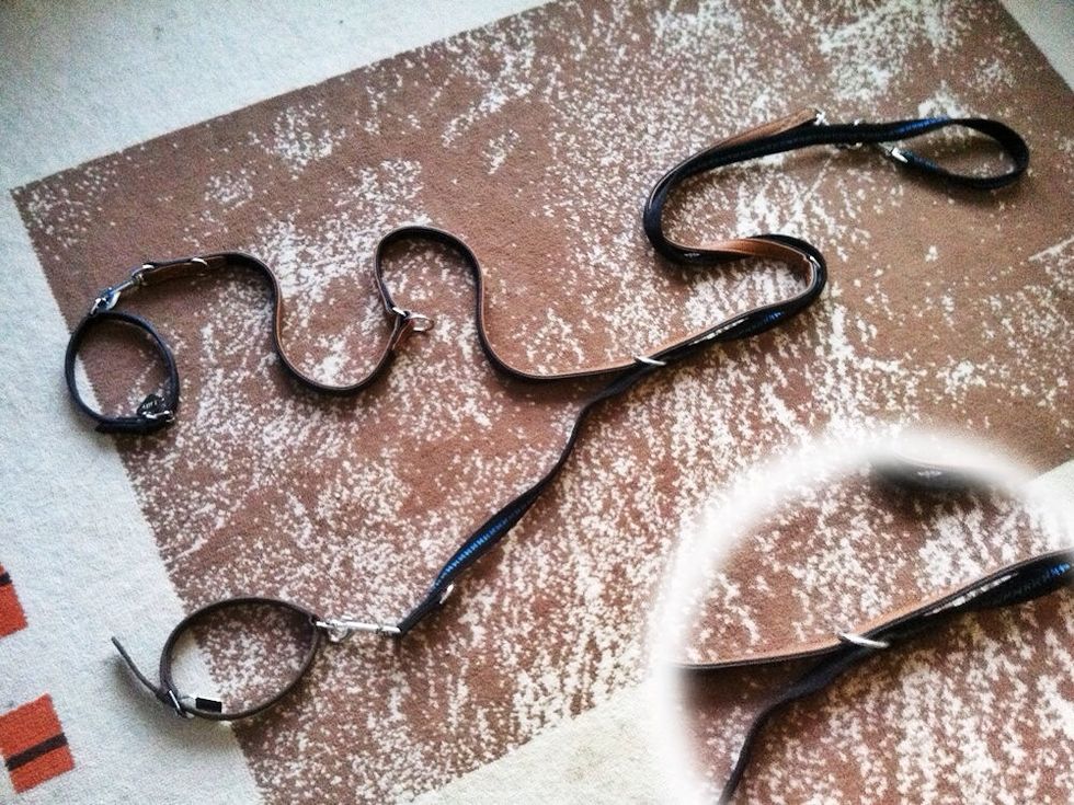 Connect one leash to the other and thread it in the middle.