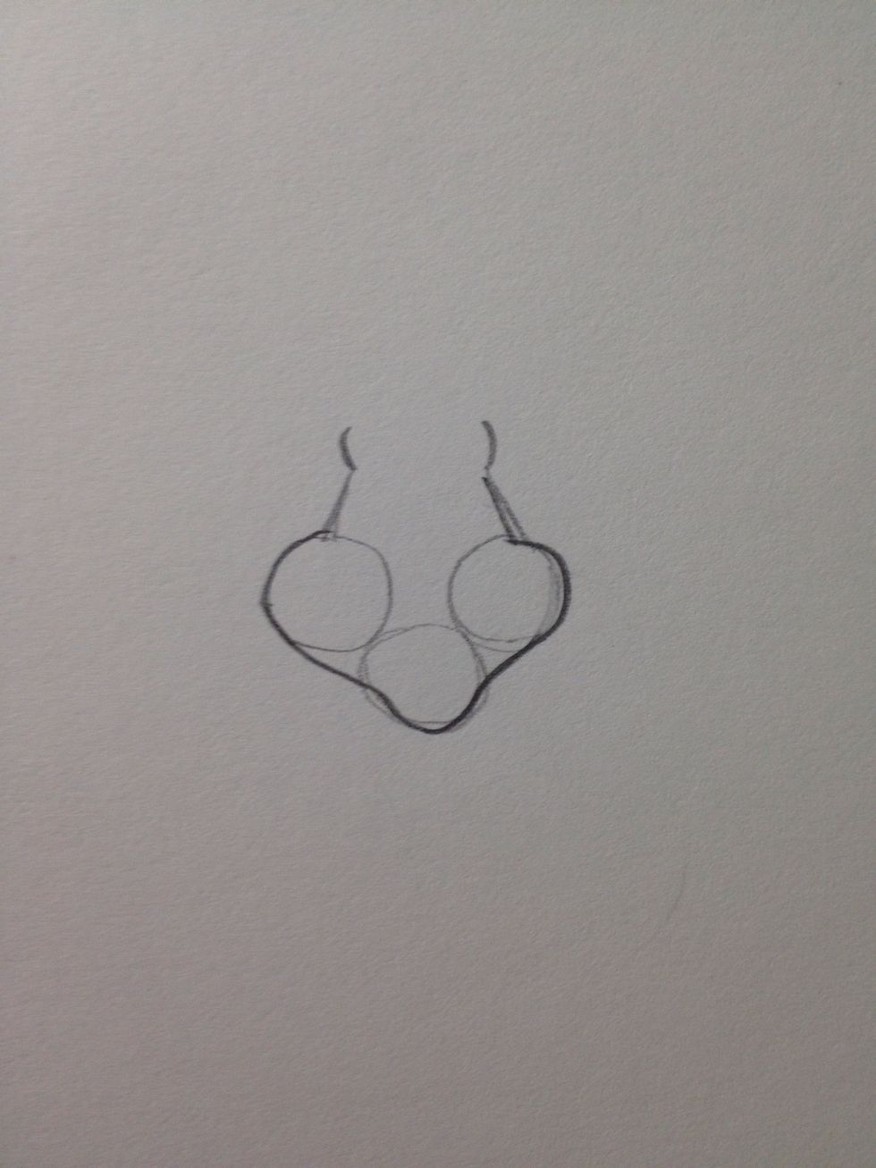 Connect the edges of the circles to create the shape of the face