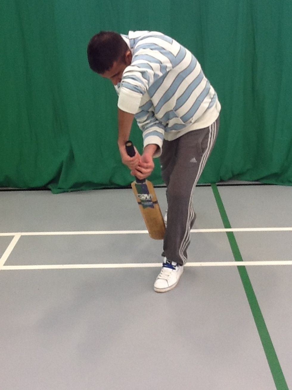 Contact under eyes, full face of bat