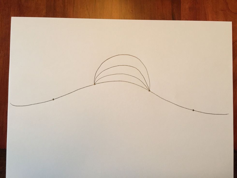 Continue adding upward curved lines above your first.