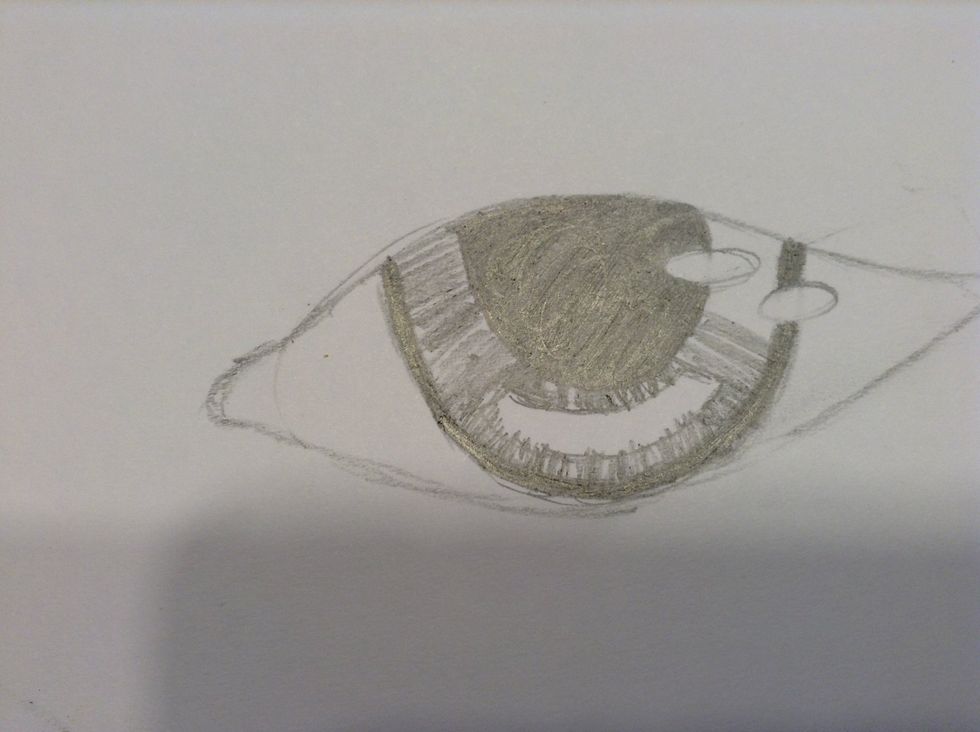 Continue around, changing the direction the line is going as you go around the iris. DONT fill in the shapes we made earlier.