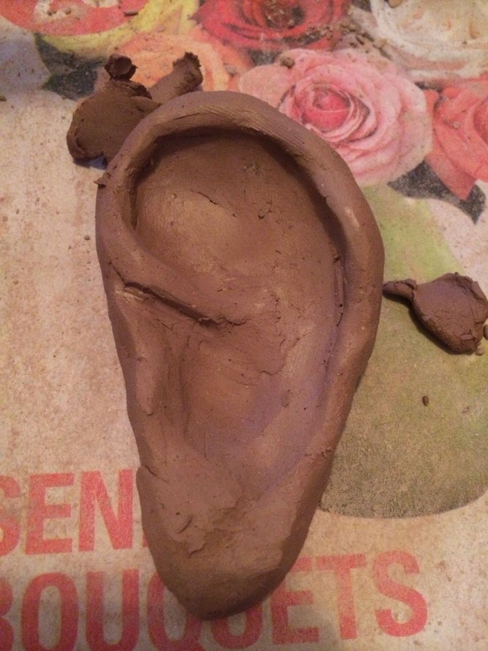 Continue building the ridges on the inside of the ear.