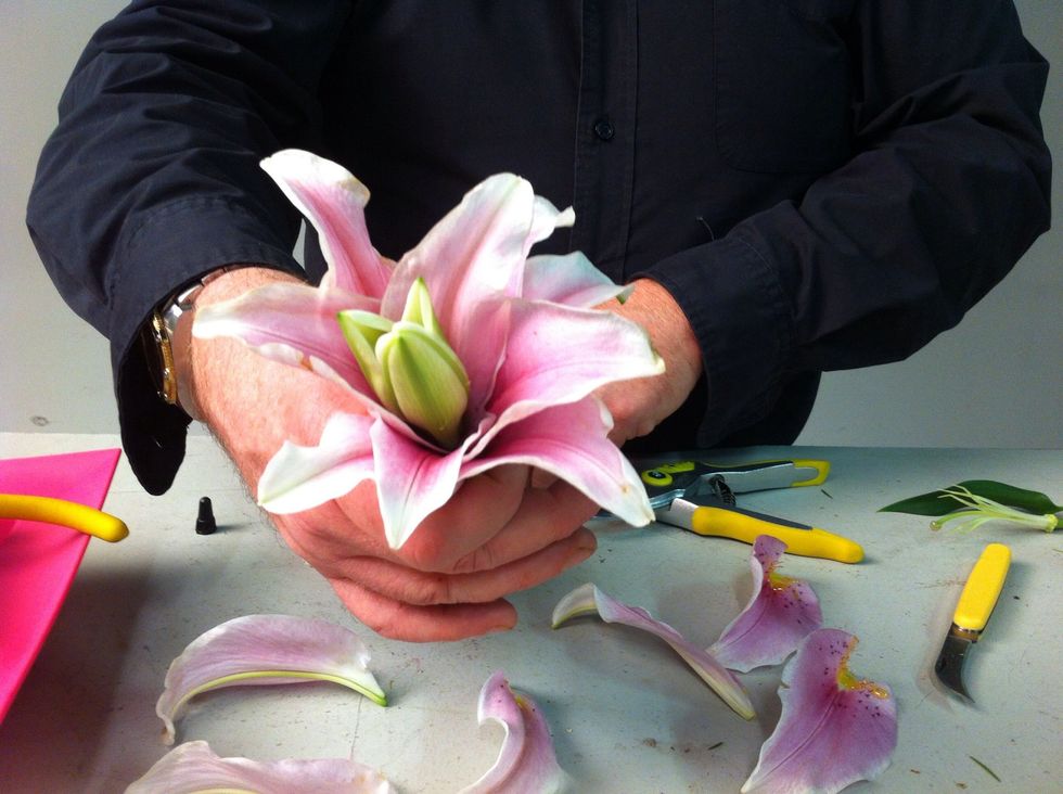 Continue layering petals around the bud. Start with the smallest petals and work your way up to the larger petals.