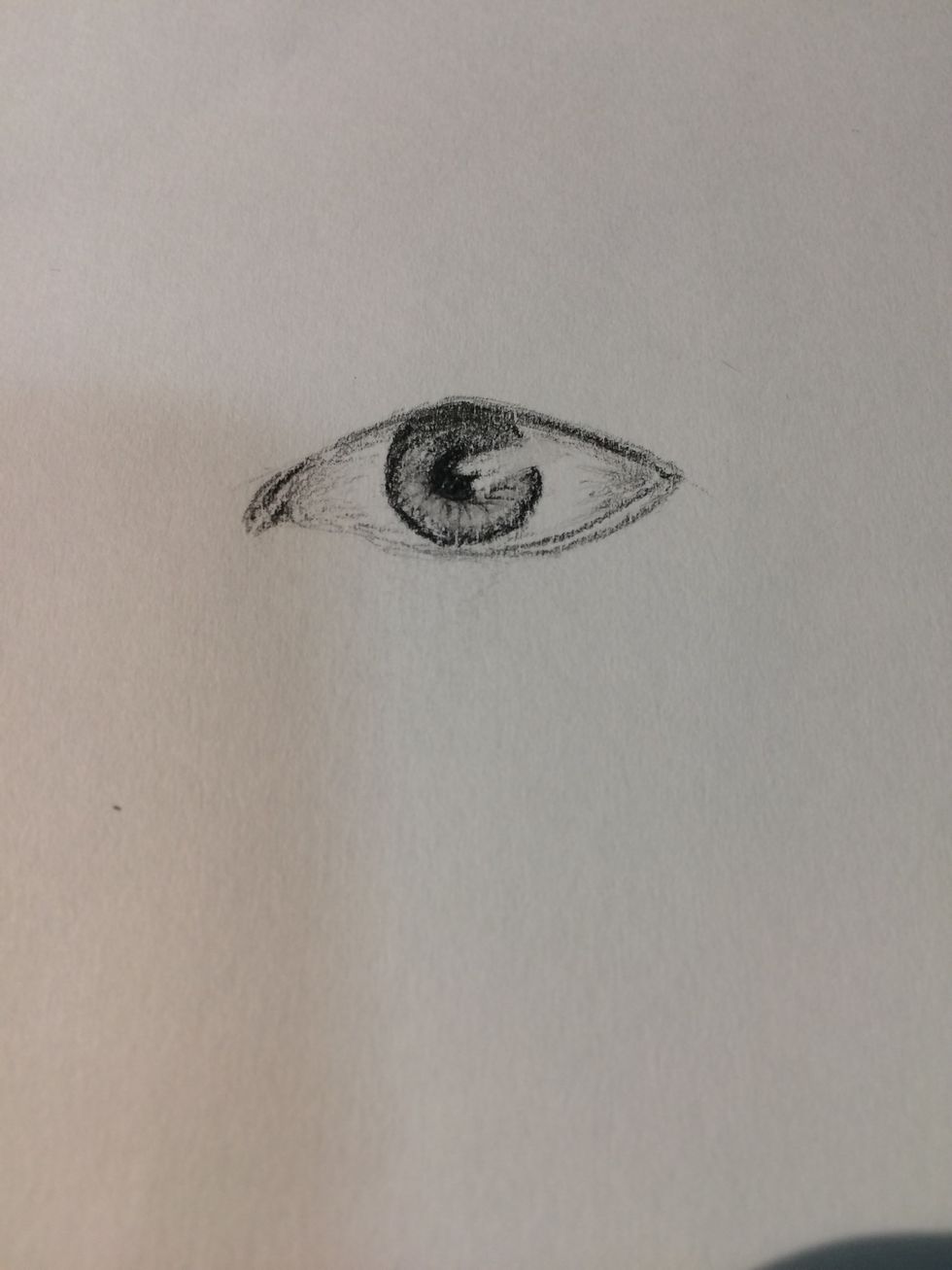 Continue shading and put an outline around the iris