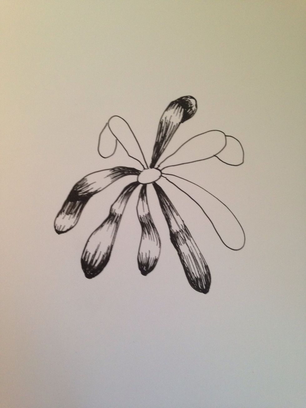 Continue shading. Don't be afraid if you mess up this part. It takes more practice to know when to darken areas.