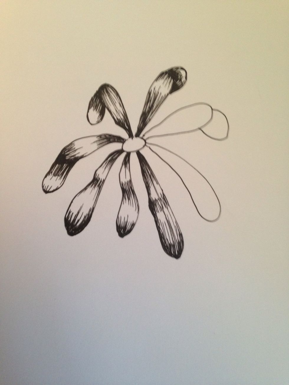 Continue shading each petal. Remember they're all different!