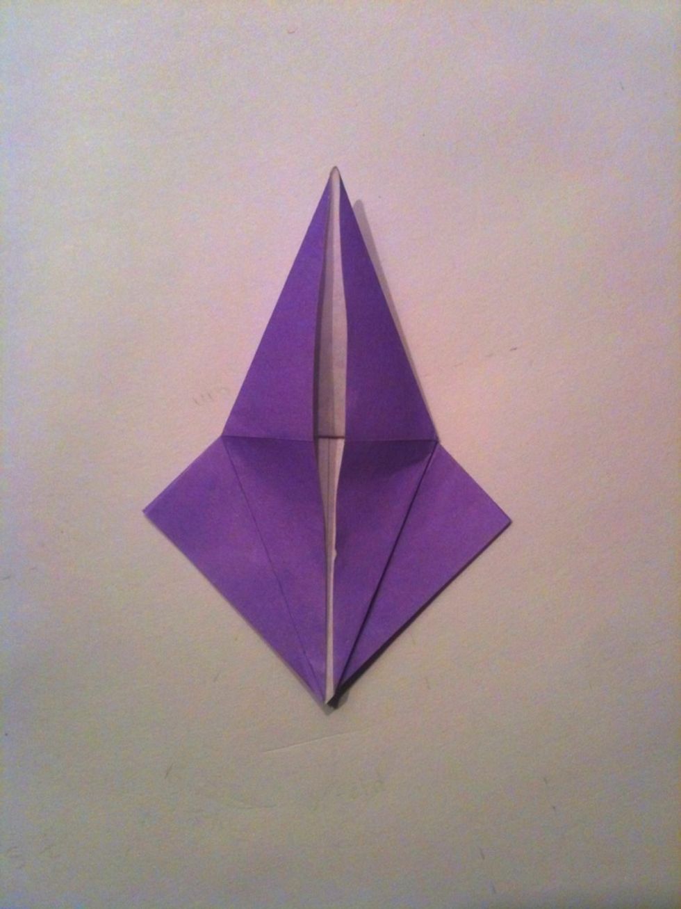 Continue the fold from the previous step up to the top.