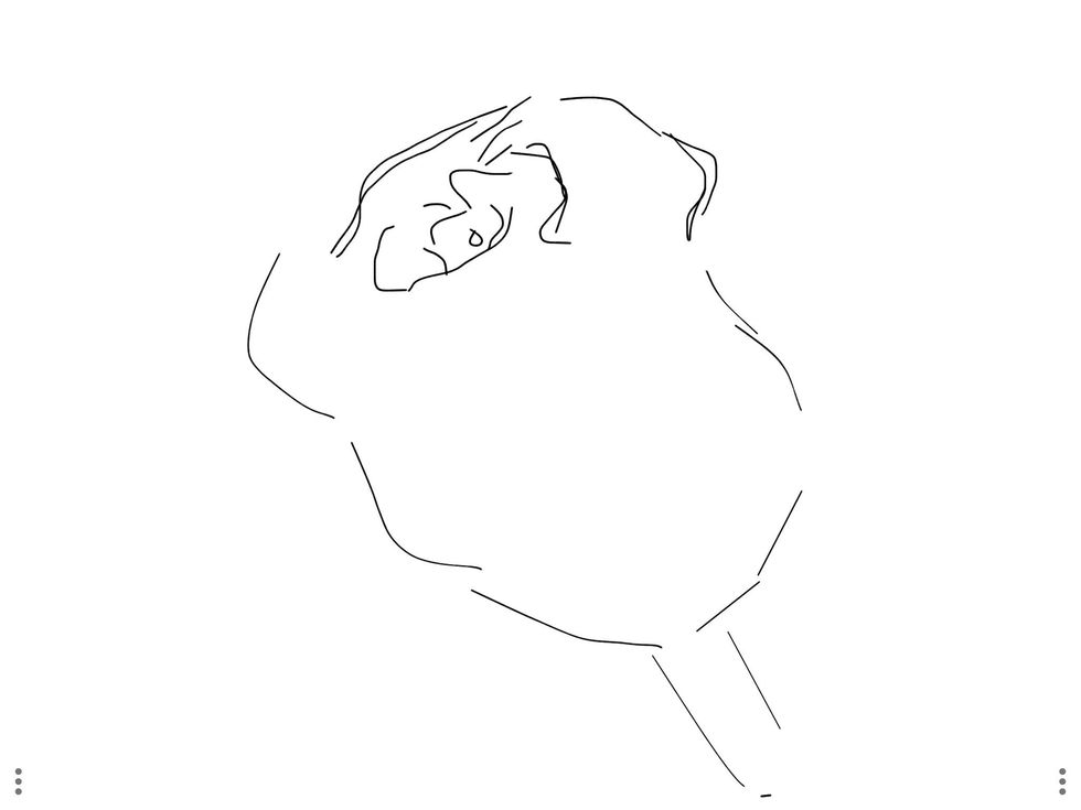 Continue to draw more petals from the middle thingy. Make them bigger the further you get from it.
