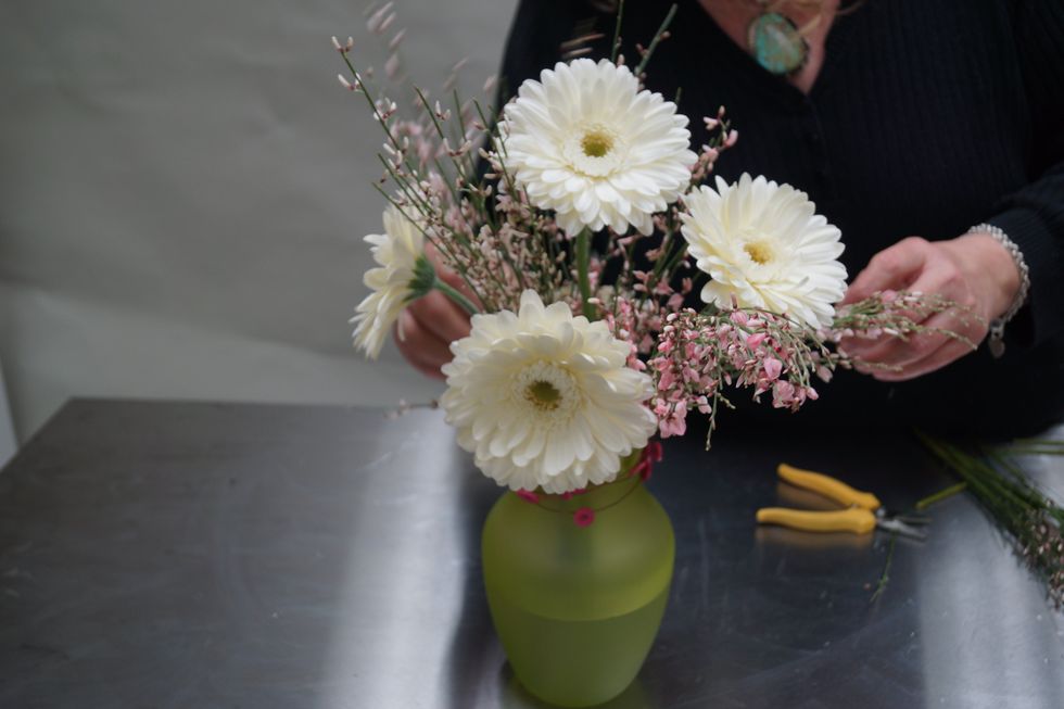 Continue to fill in with ginestra.