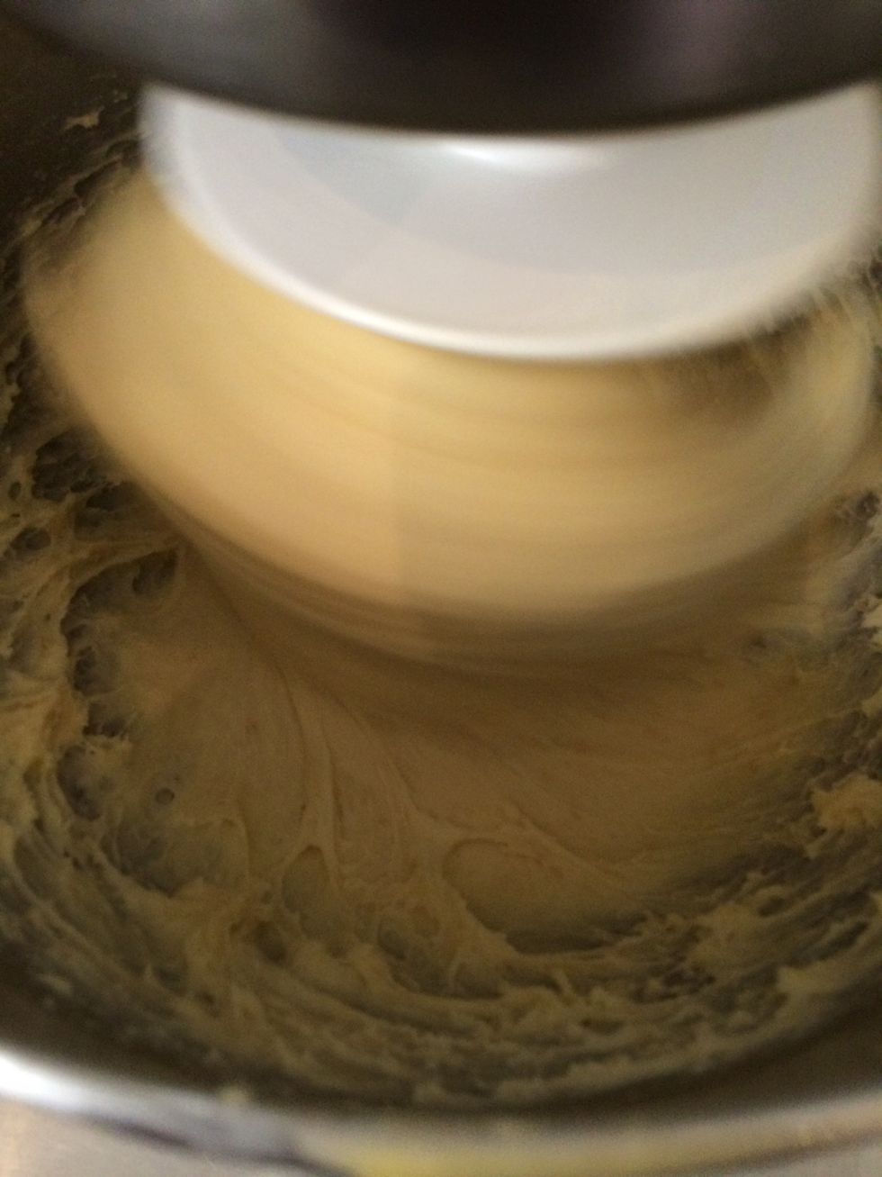 Continue to knead for 5 mins. Gather the dough and let it rise. Cover with an oiled plastic film