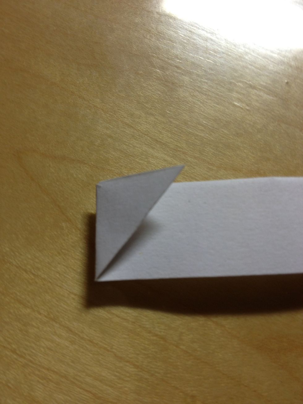 Continue\u2026 until you have fold 8 times