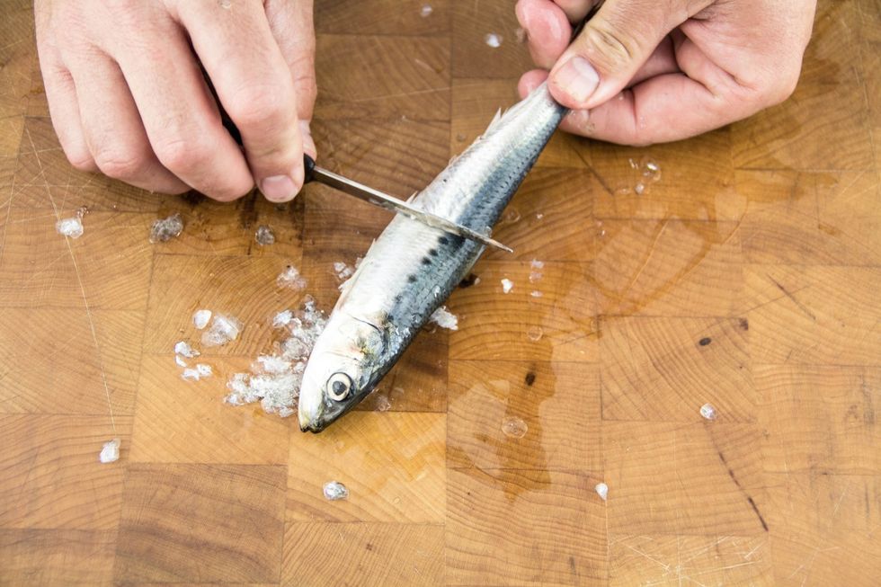 How to scale and clean sardines B+C Guides