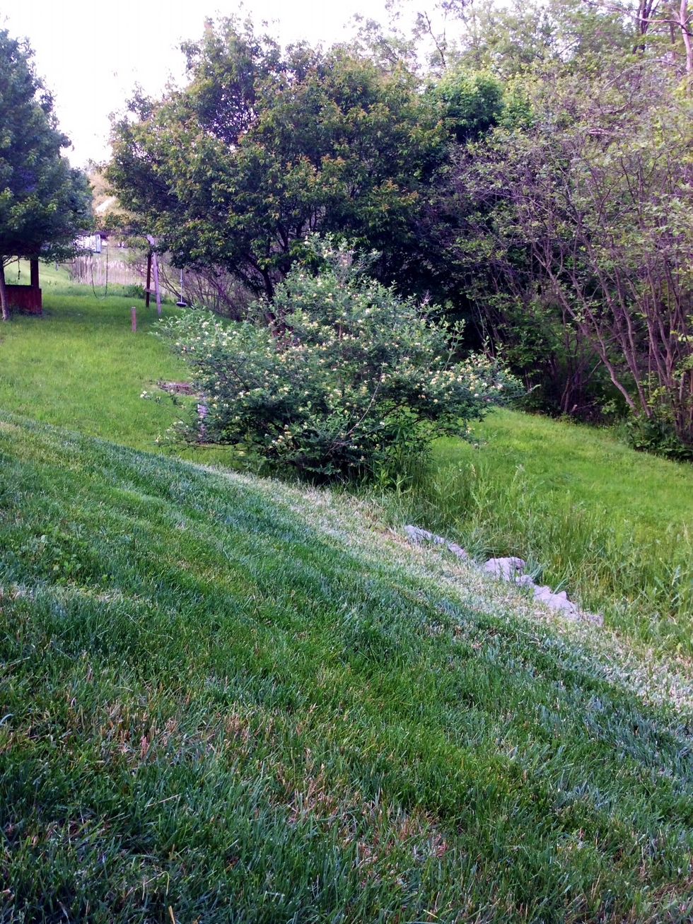 (Continued on) grew and grew. This is a type of deposition where one particle is picked up and grows on its own, without any help or treatment.