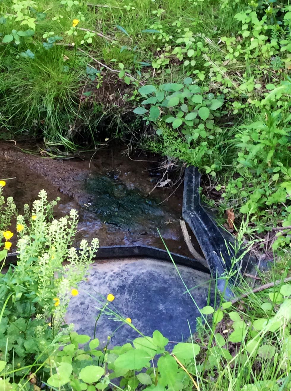 (Continued on) the dirt and soil sediments closer to the water. The soil and dirt then erodes into the water eroding the the plants and then makes more dirt and soil in the water.