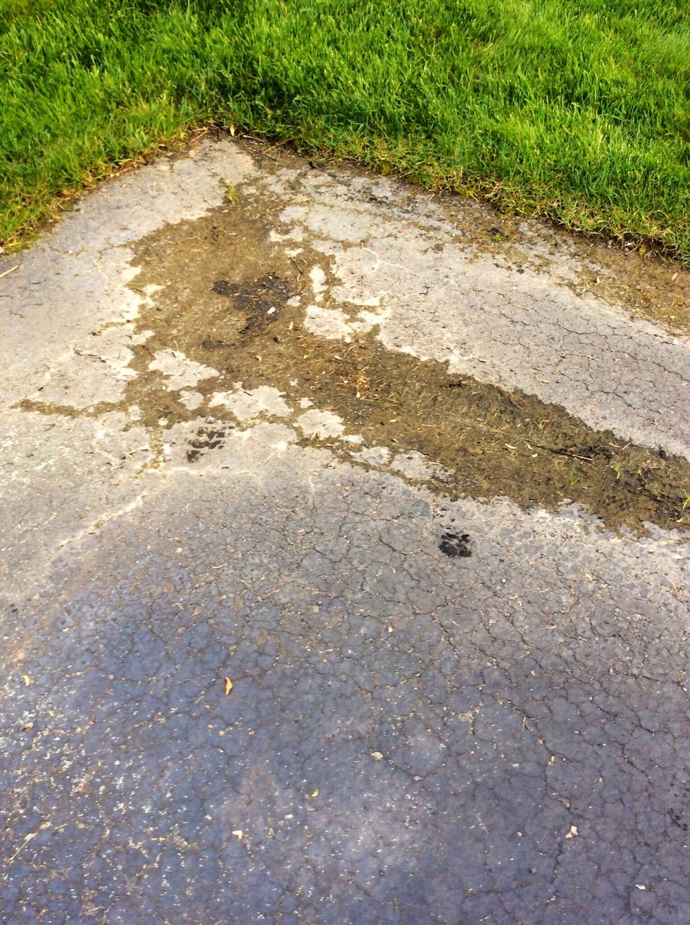 (Continued on) the dirt sediments underneath begin to push there way up and form on top of the black top. This is called a physical process, because the tar is being physically worn down by the rain.