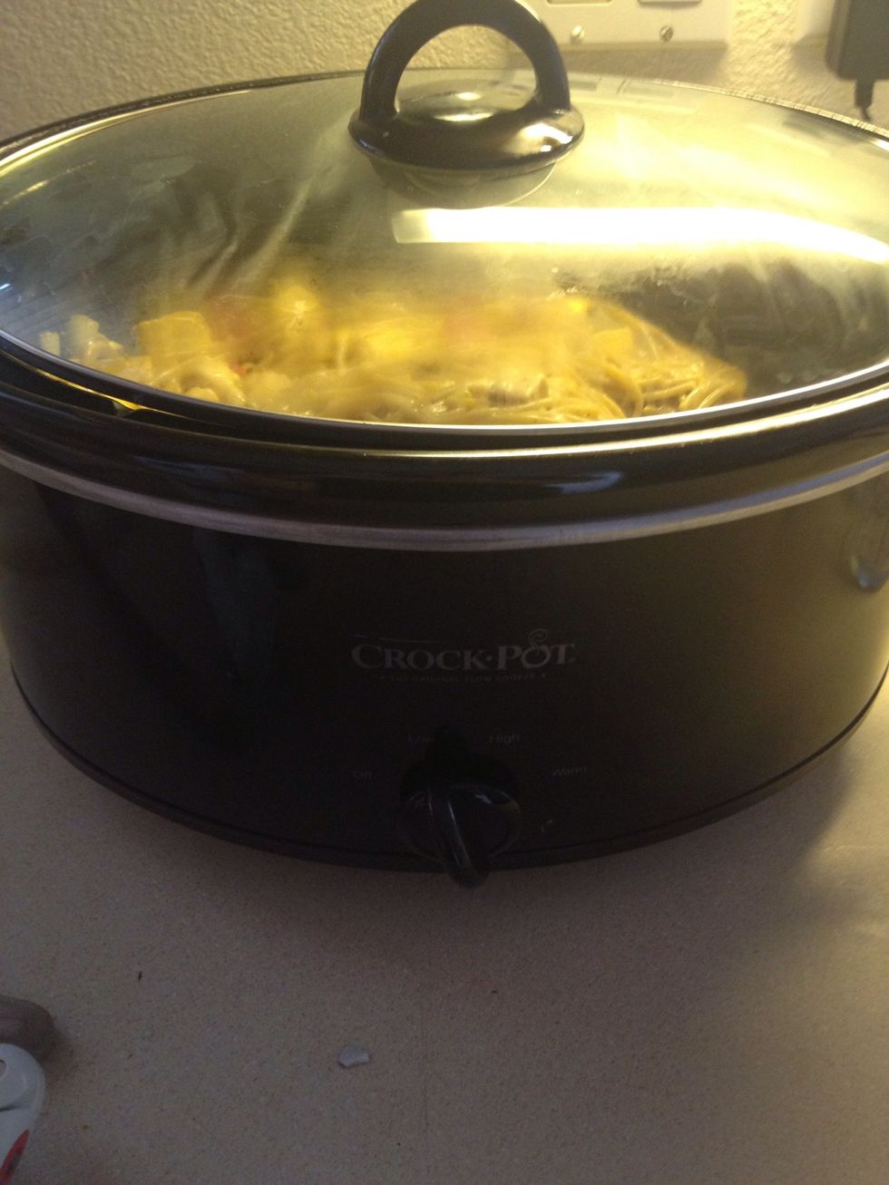 Cook on low for 2-3 hours