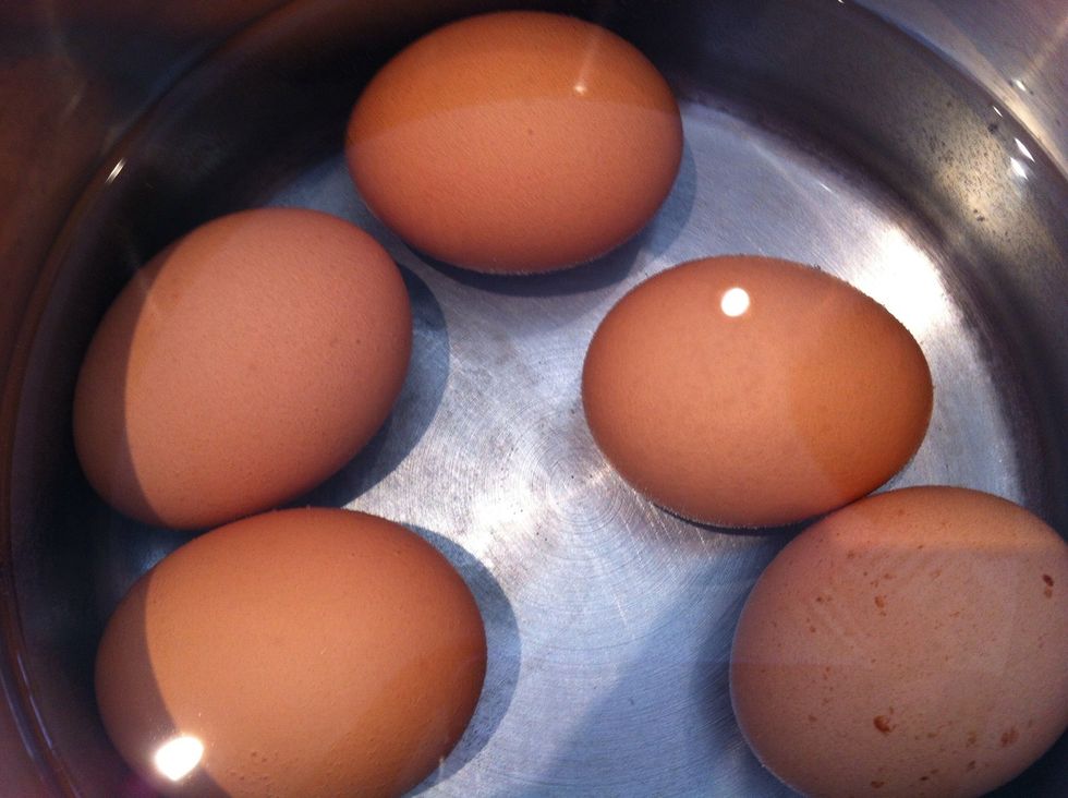 Cook the eggs until they are hard boiled. Slice and set aside
