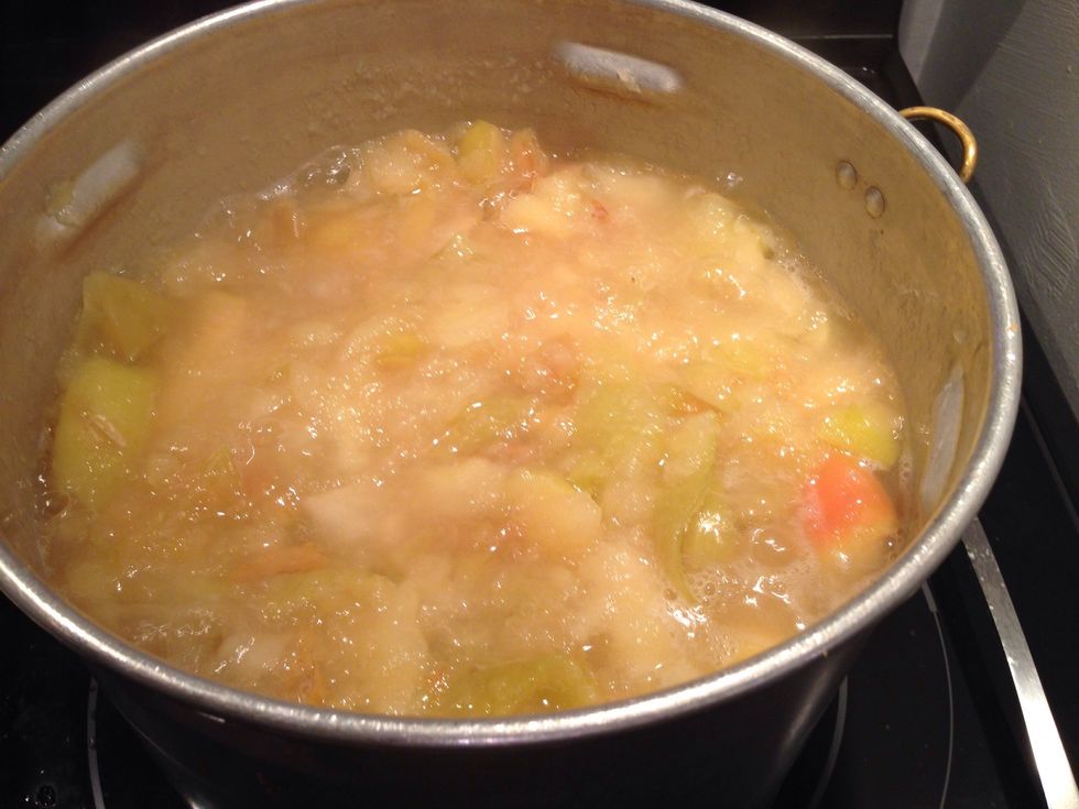Cook them down for about 30-45 minutes. Don't boil. Just a nice rolling bubbling boil, not crazy boiling. Keep stirring. The point is that the apples are mushy and not rubbery.