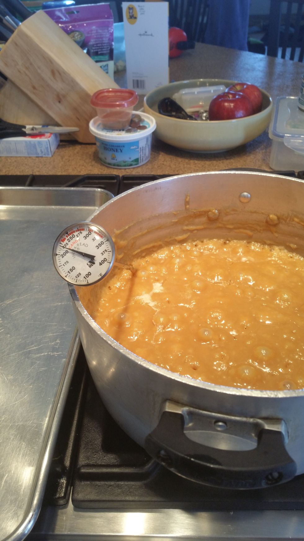 Cook toffee until temperature reaches 250 degrees F with a candy thermometer. Toffee can take around 20 minutes for the temperature to be reached. Continue to boil and stir until then.