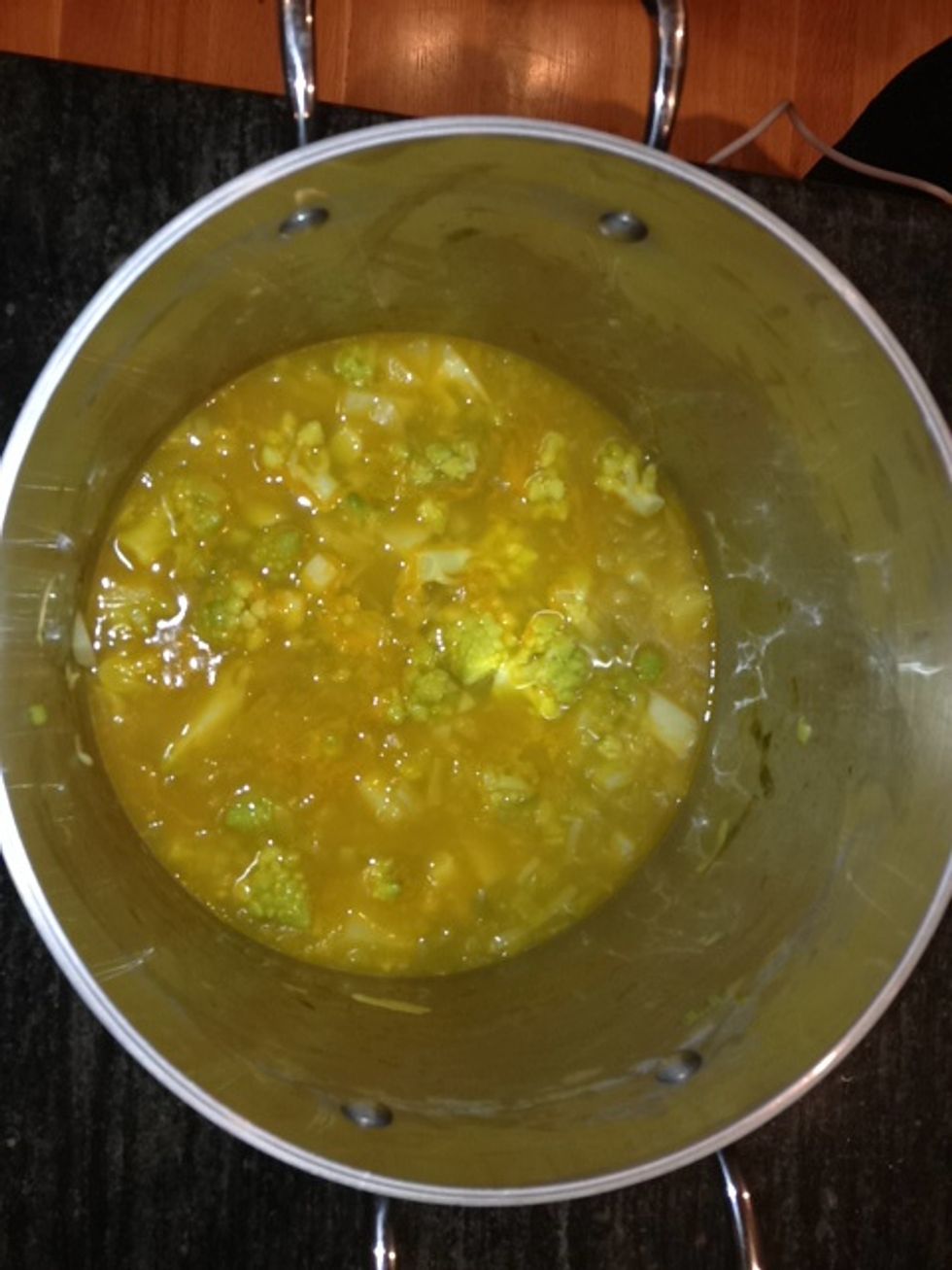 Cook until the broccoli is tender, about 20 minutes.